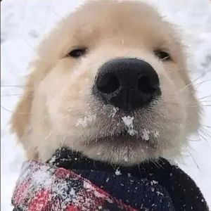 Meet your Posher, Yula